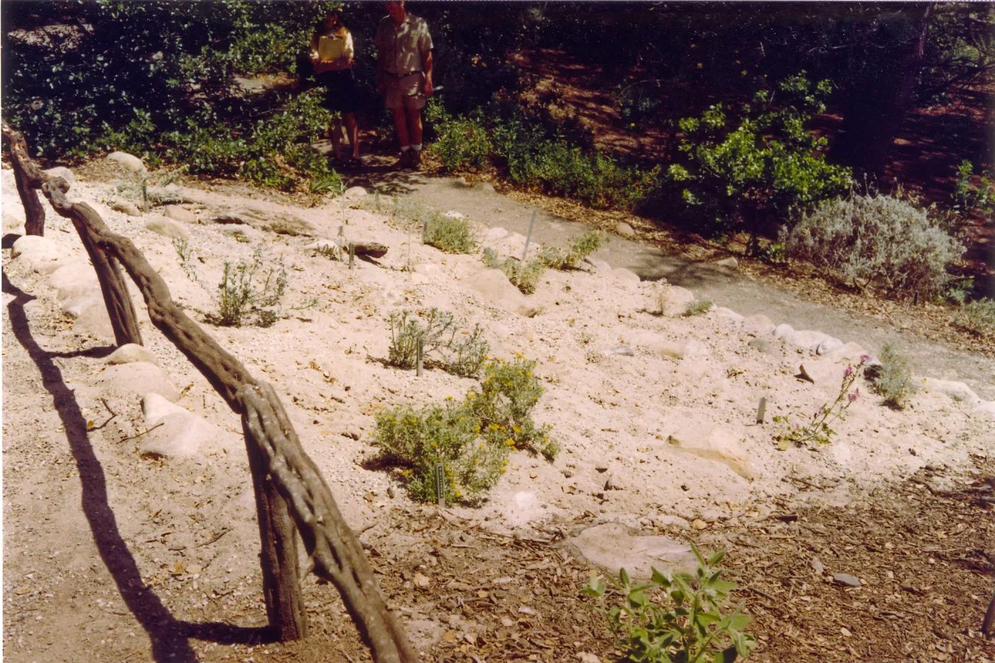 New Dune / Riverbed display in Island Section, summer 1992