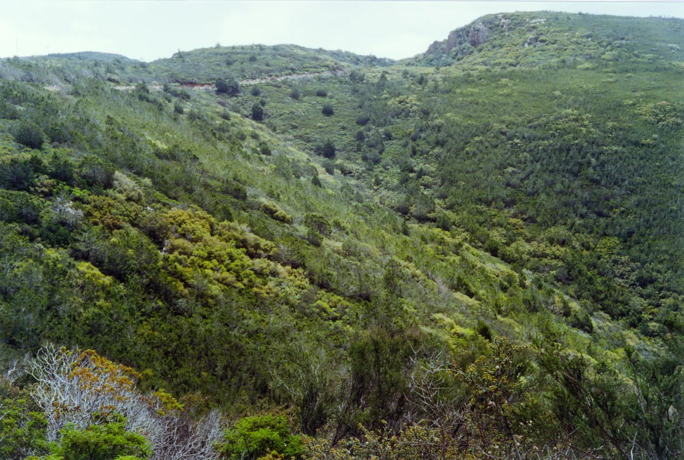 Trip to Otay Mountain, Otay Mountain, San Diego County