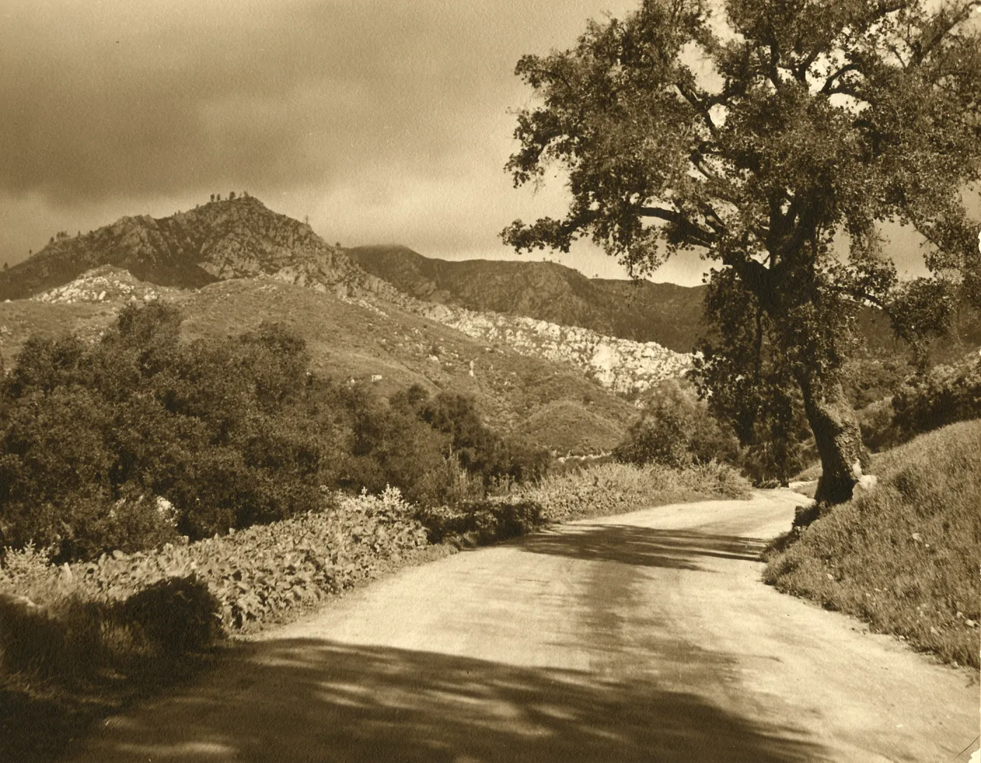 View looking north in Mission Canyon, possibly along what is now currently Mission Canyon Road.