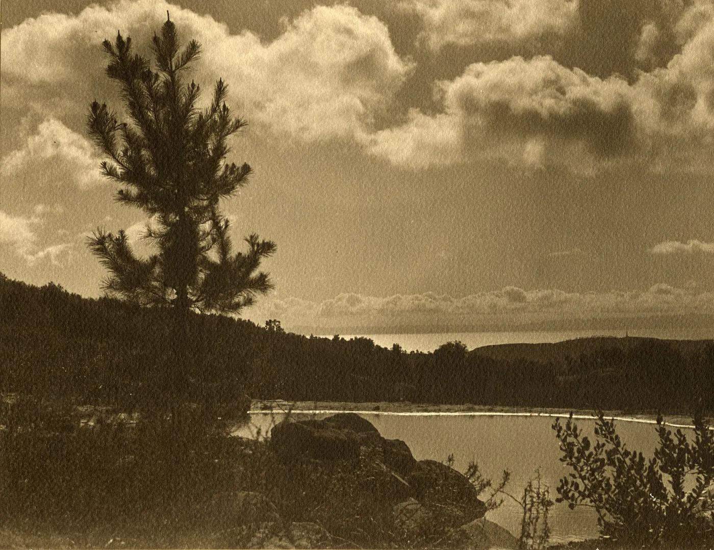 View across pond at upper meadow towards Channel Islands