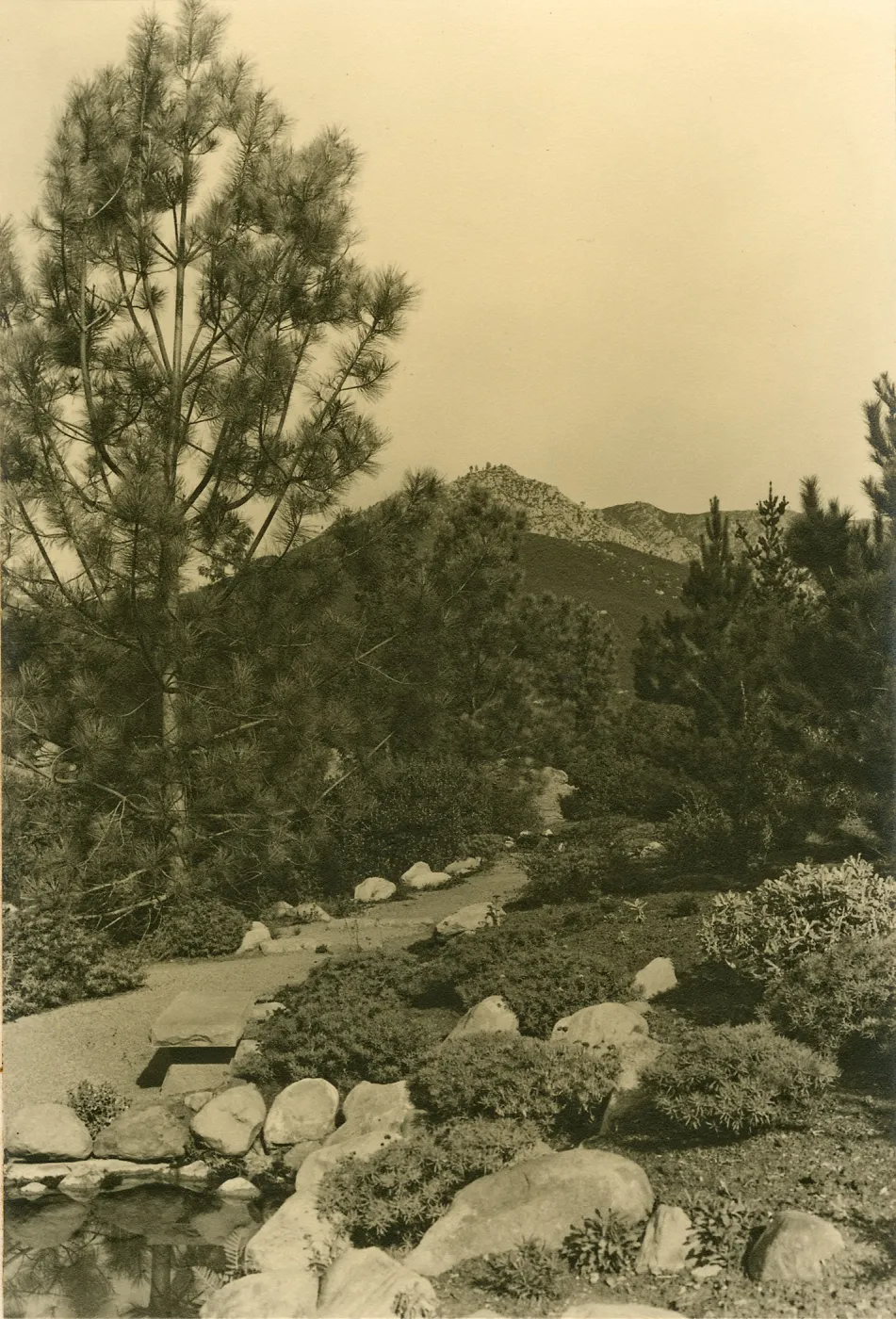 View of Island Trail and Pool