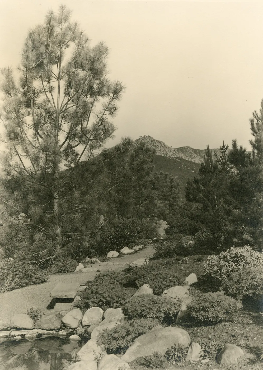 View of Island Trail and Pool