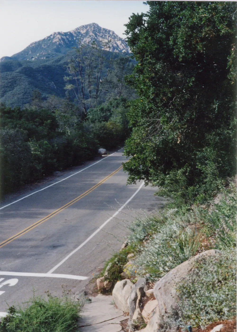 Mission Canyon Rd. nr. SBBG entrance