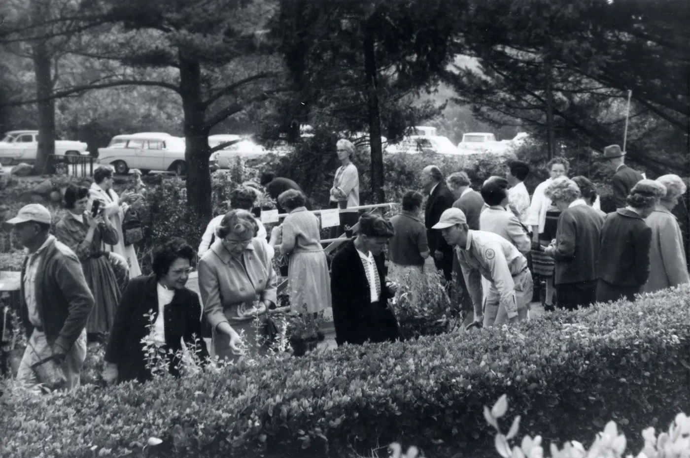 Plant Sale