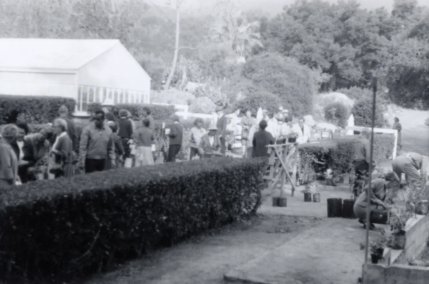 Plant Sale