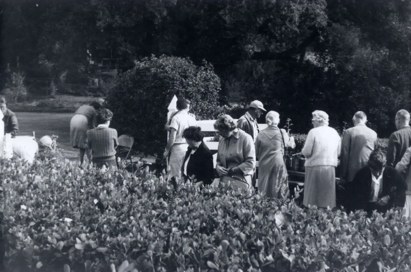 Plant Sale