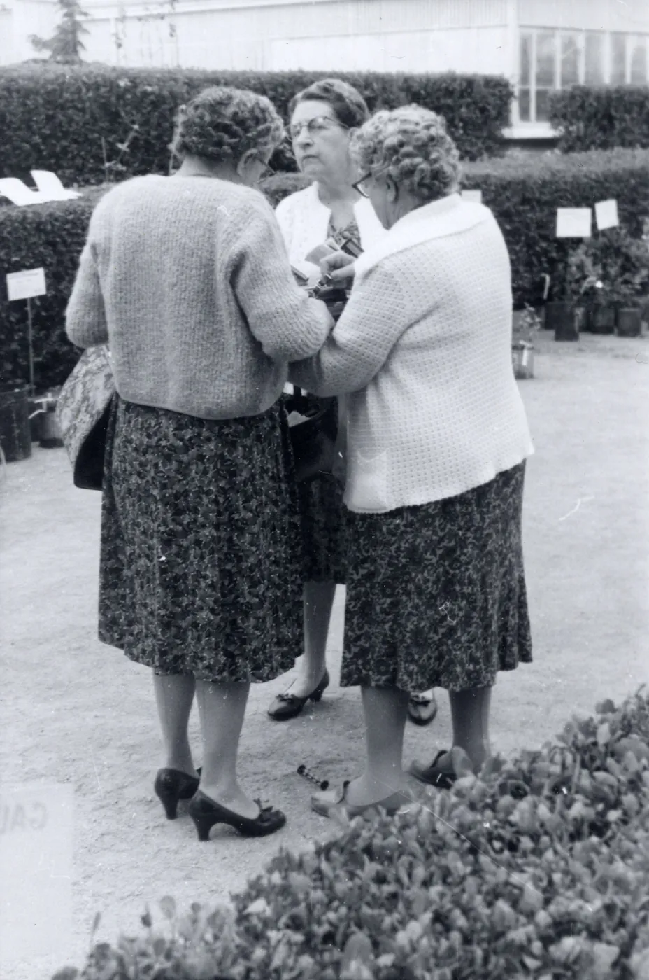 Plant Sale