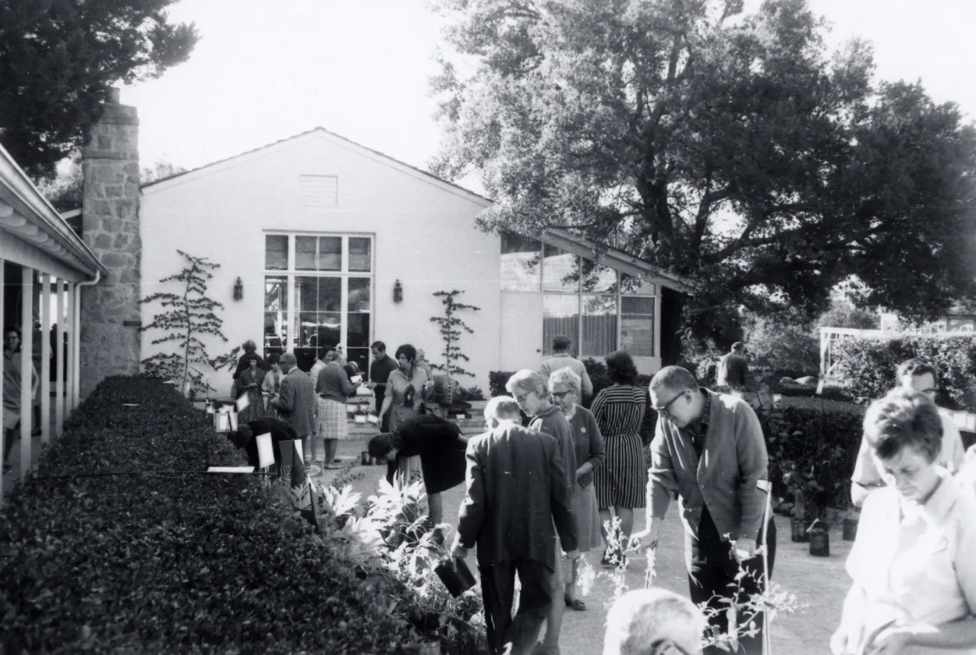 Plant Sale