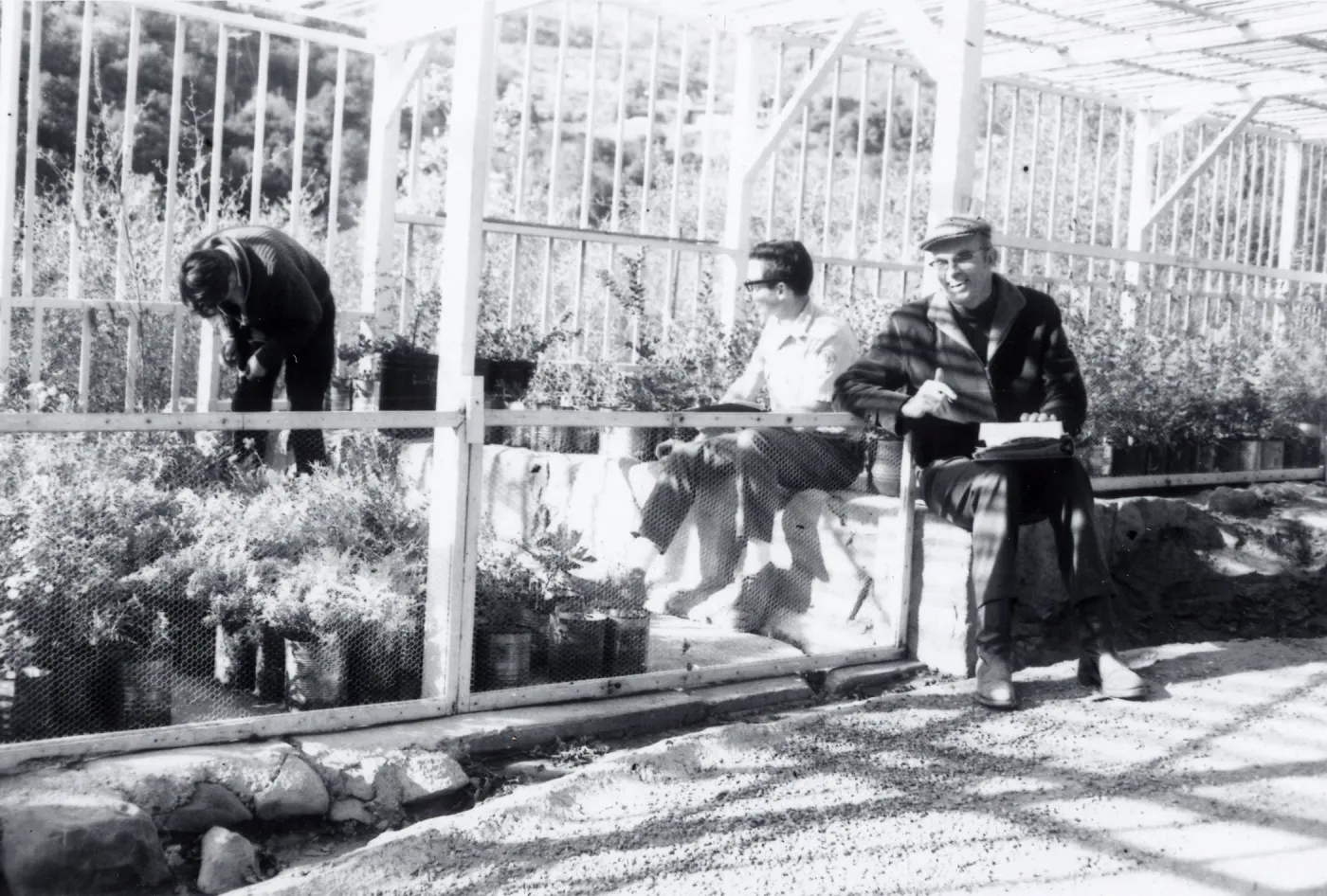 Plant Sale