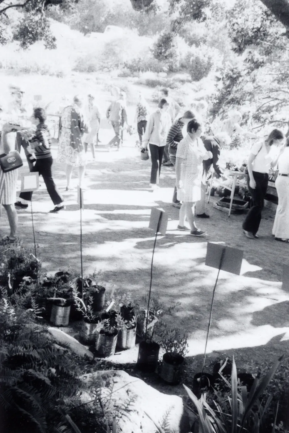 Plant Sale