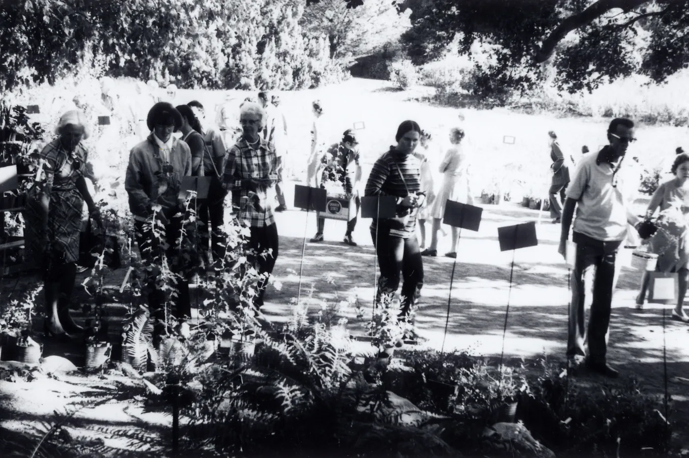 Plant Sale