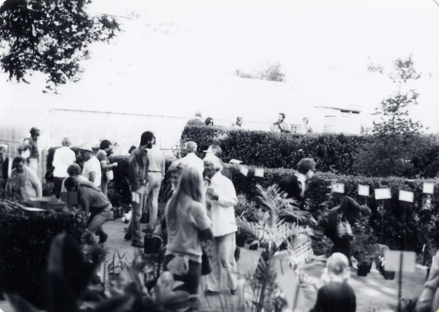 Plant Sale
