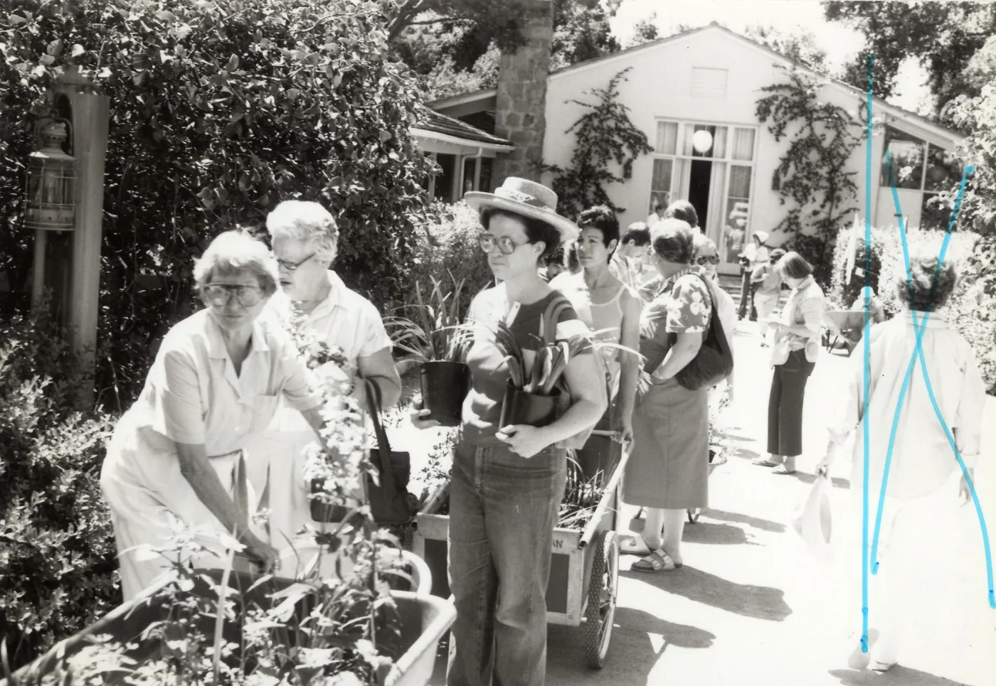 Spring Plant Sale