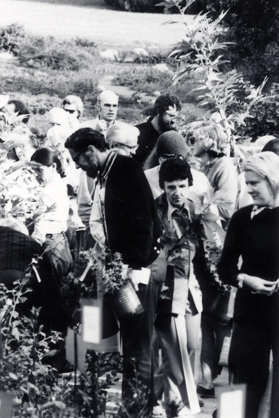 Plant Sale