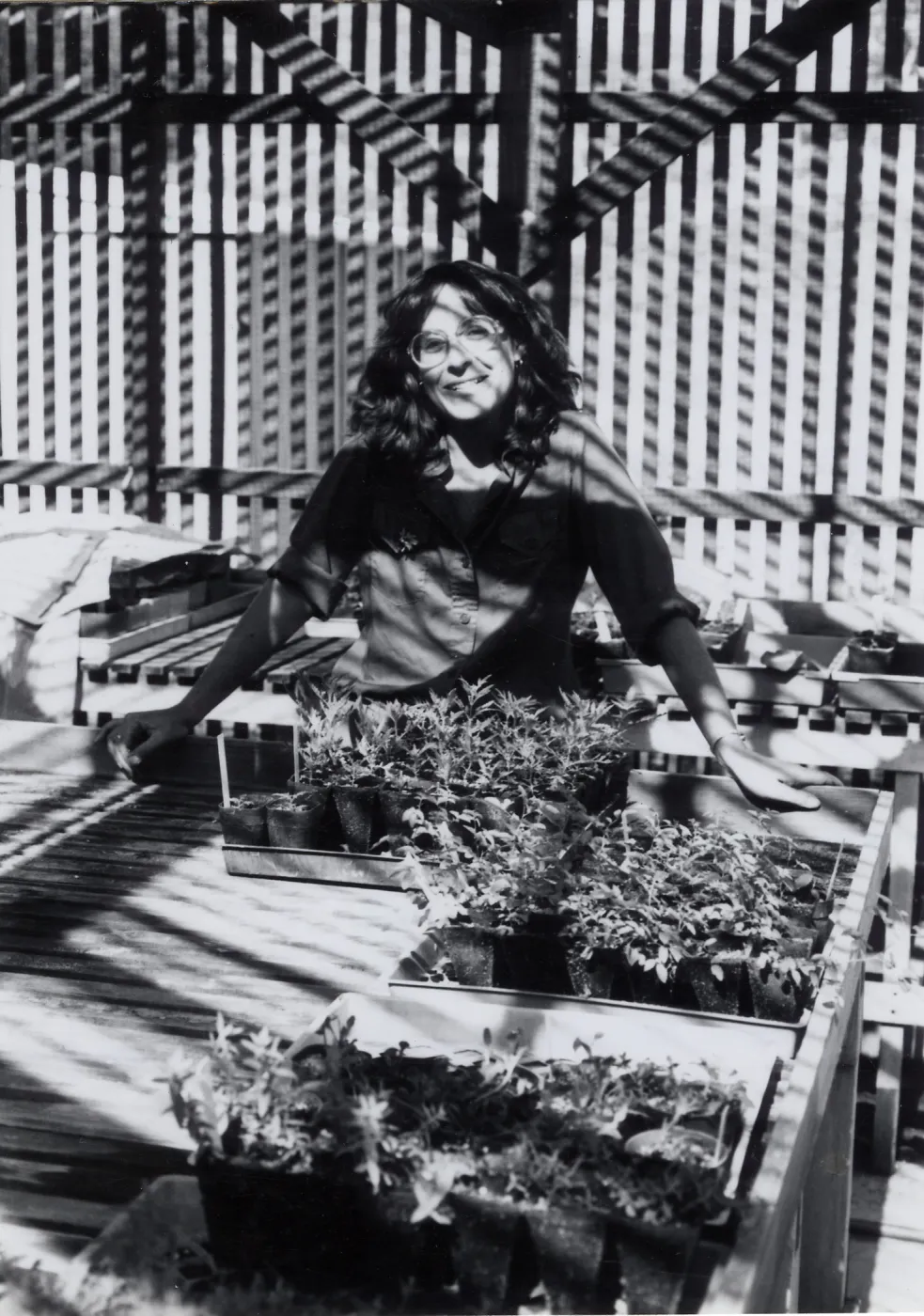 Carol Bornstein