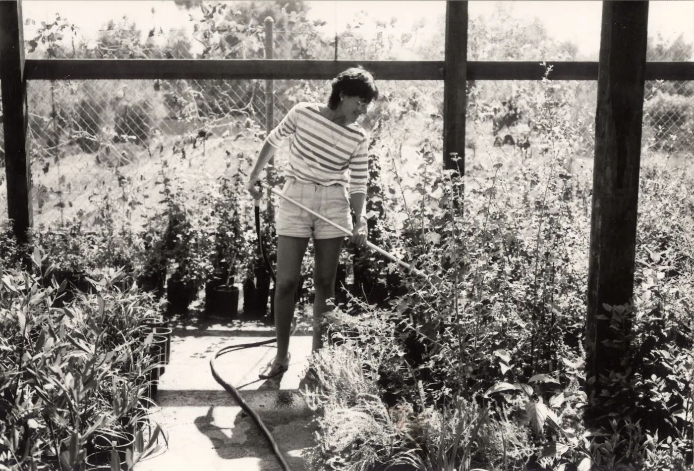Carol Bornstein, Plant Propagator