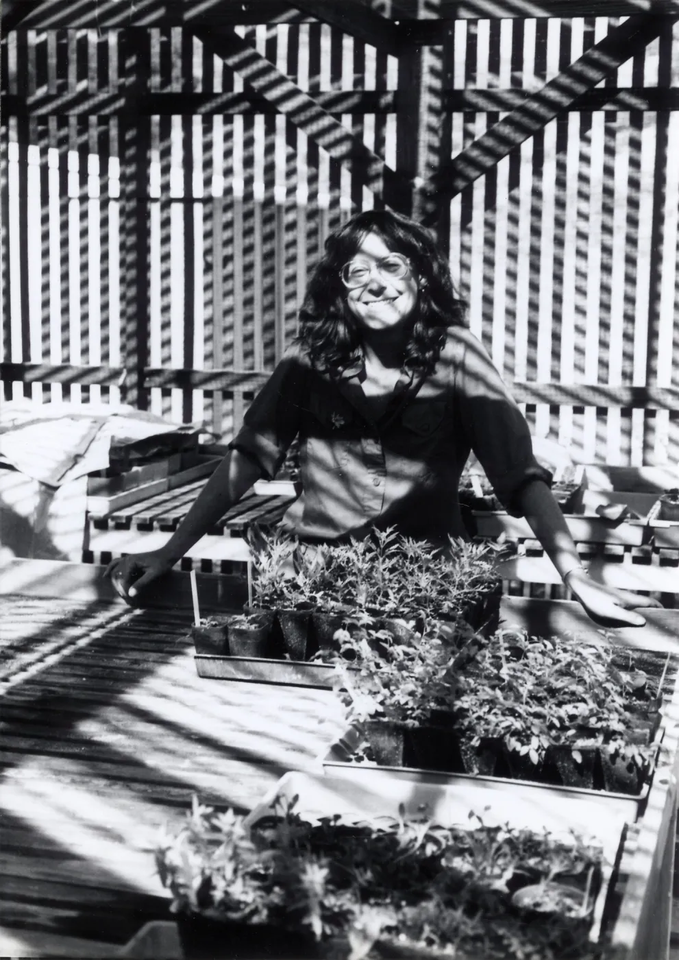 Carol Bornstein