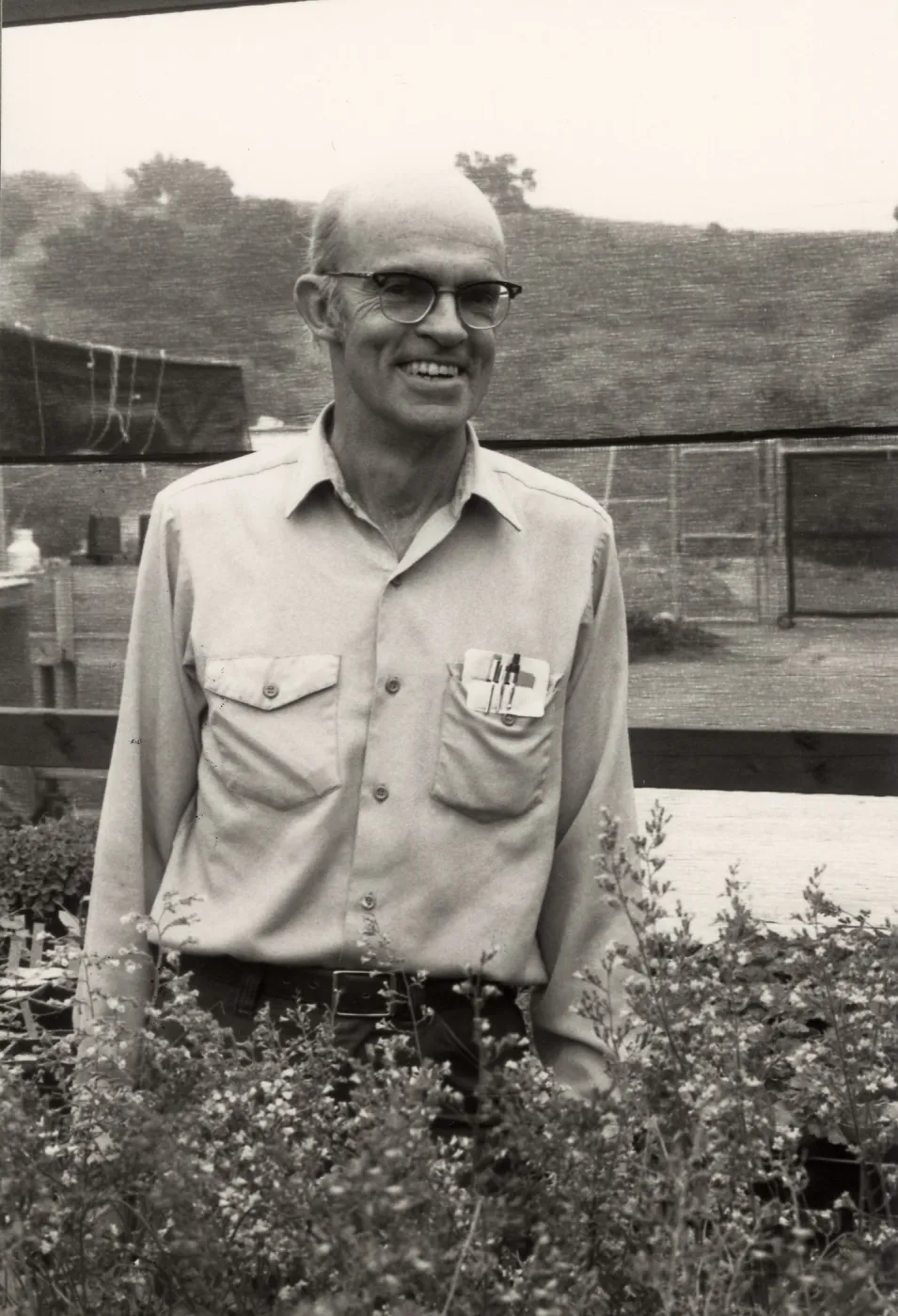 Dara Emery, Spring, 1983