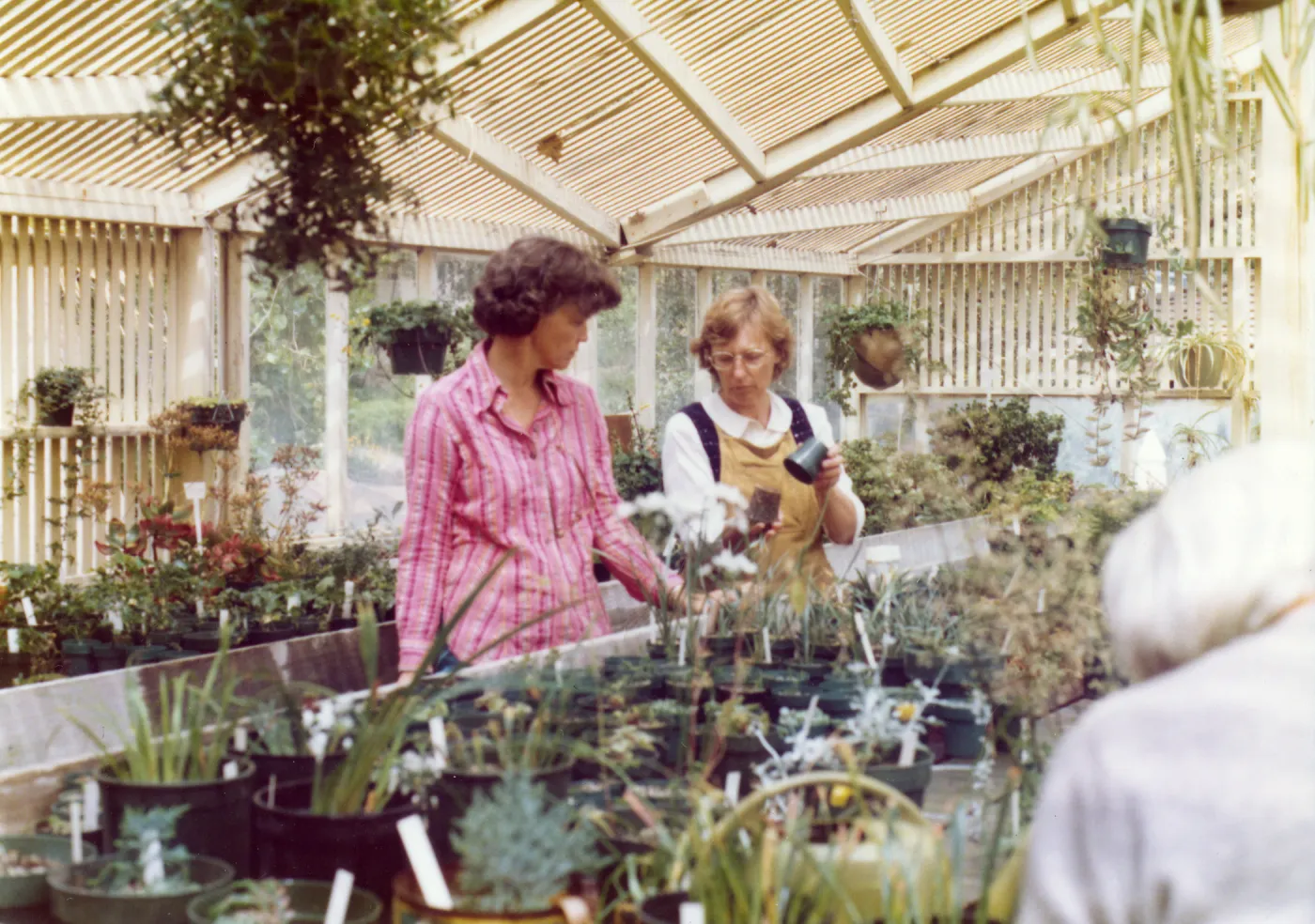 Volunteers - Garden Growers, Blair Gray, Ann Eldridge