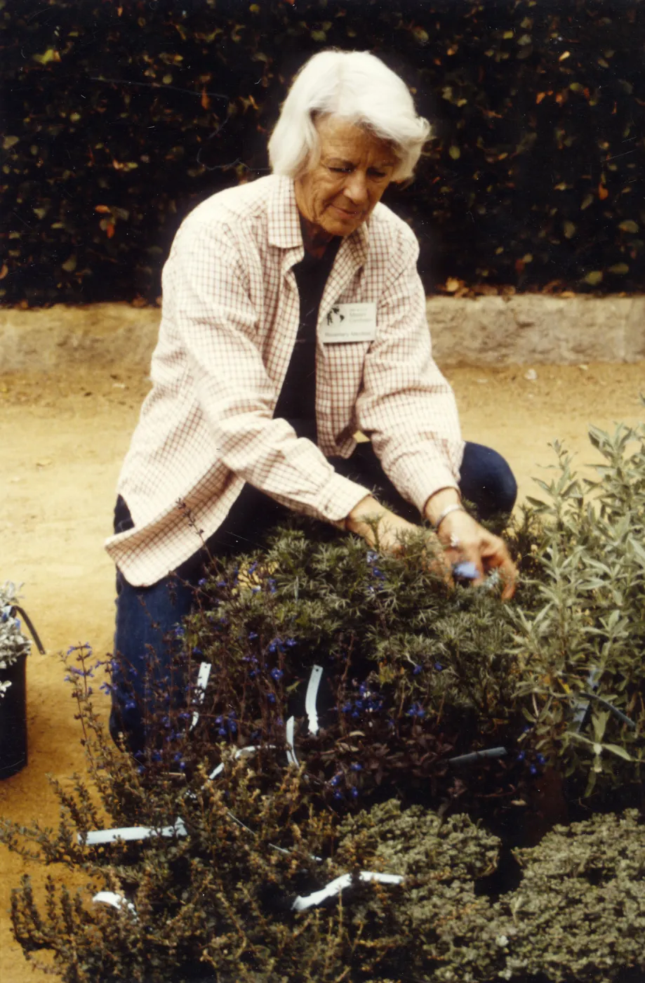 Volunteers - Garden Growers, Rosemary Maxfield, MG, plant sale, Spring â€˜94 IQ