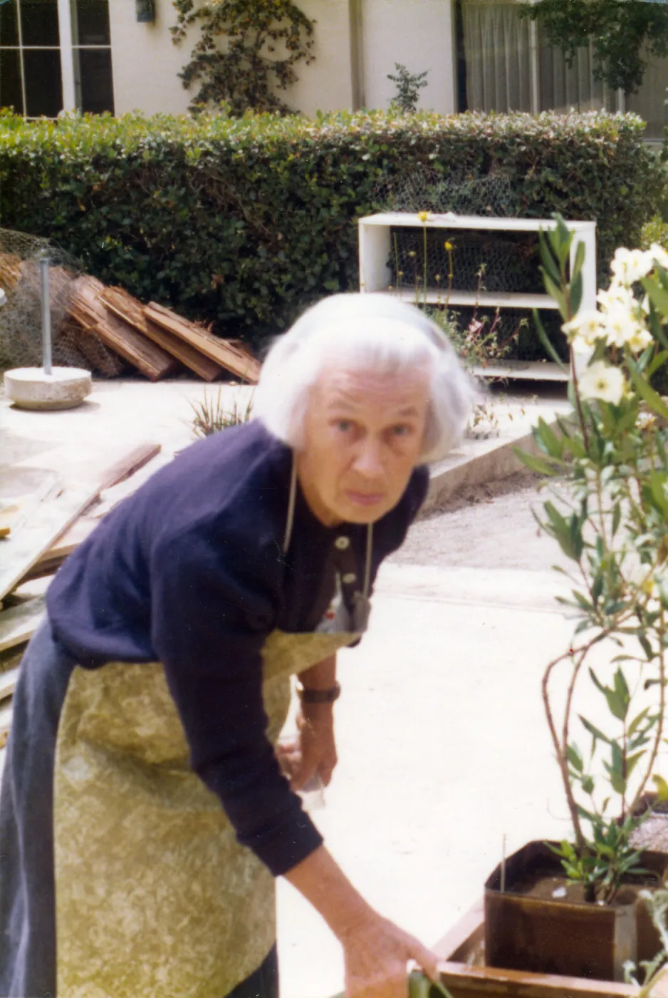 Volunteers - Garden Growers, Polly Anderson (Volunteer)