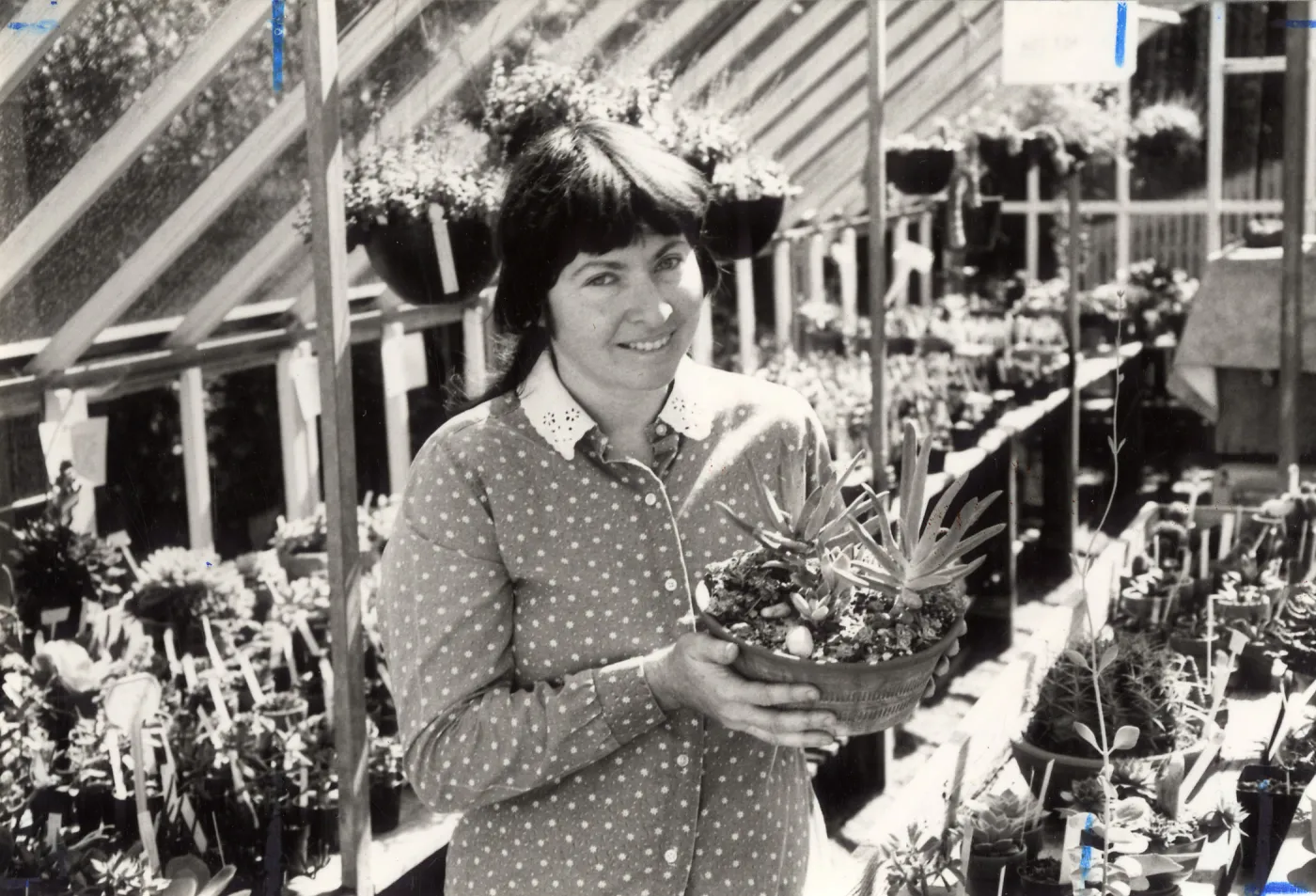 Volunteers - Garden Growers, Diane Siercy, Volunteer, SBBG