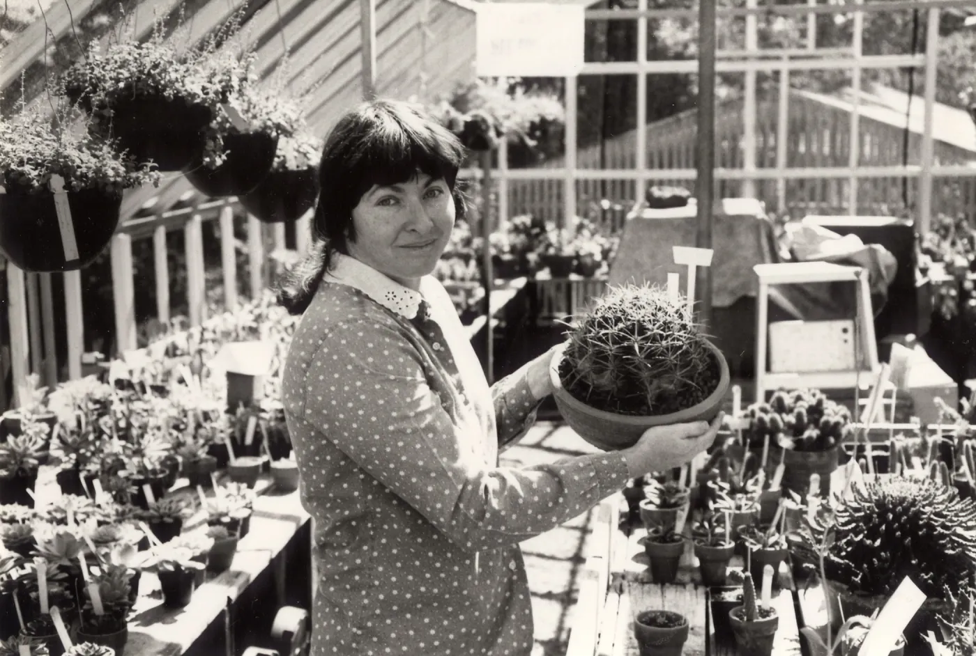 Volunteers - Garden Growers, Diane Siercy, Volunteer