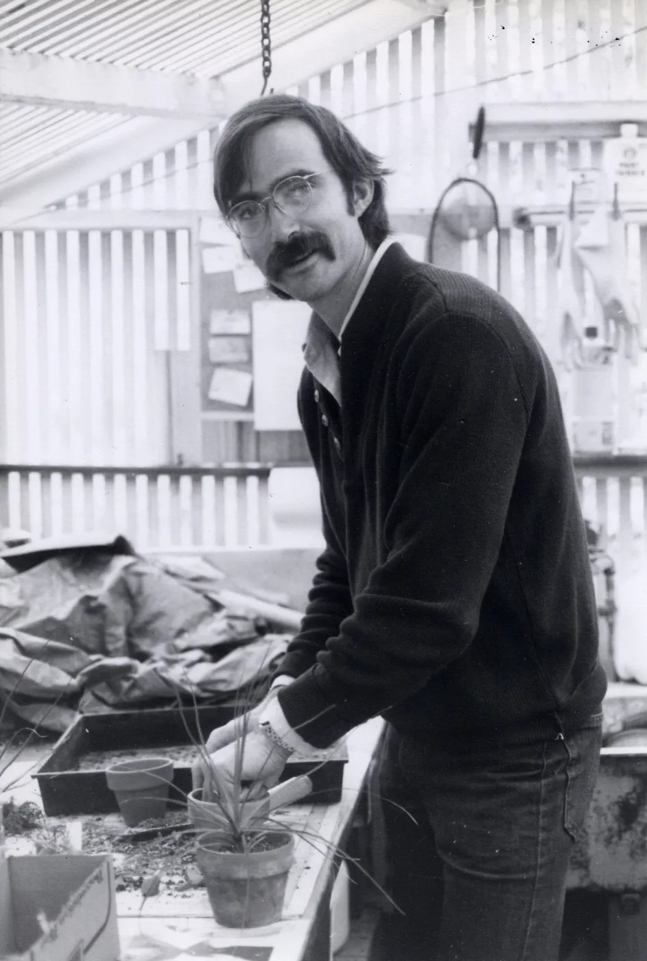 Volunteers - Garden Growers, Garden Grower Sean Hutchinson prepares for plant sale, repotting plants