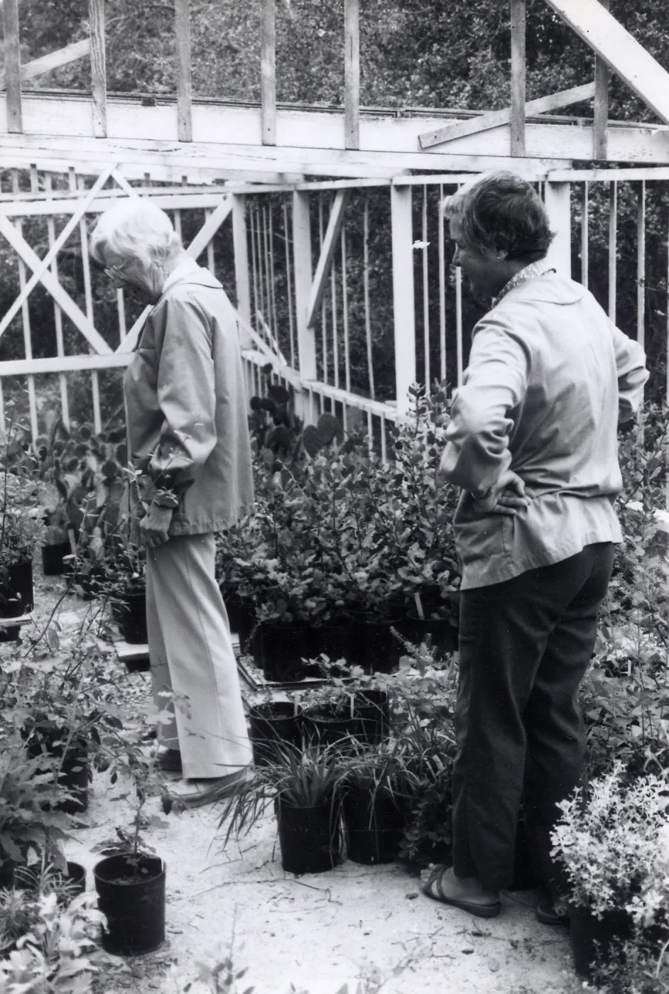 Volunteers - Garden Growers, Garden Growers Lila Sexton and â€œStevieâ€ Service prepare plants for annual plant sale