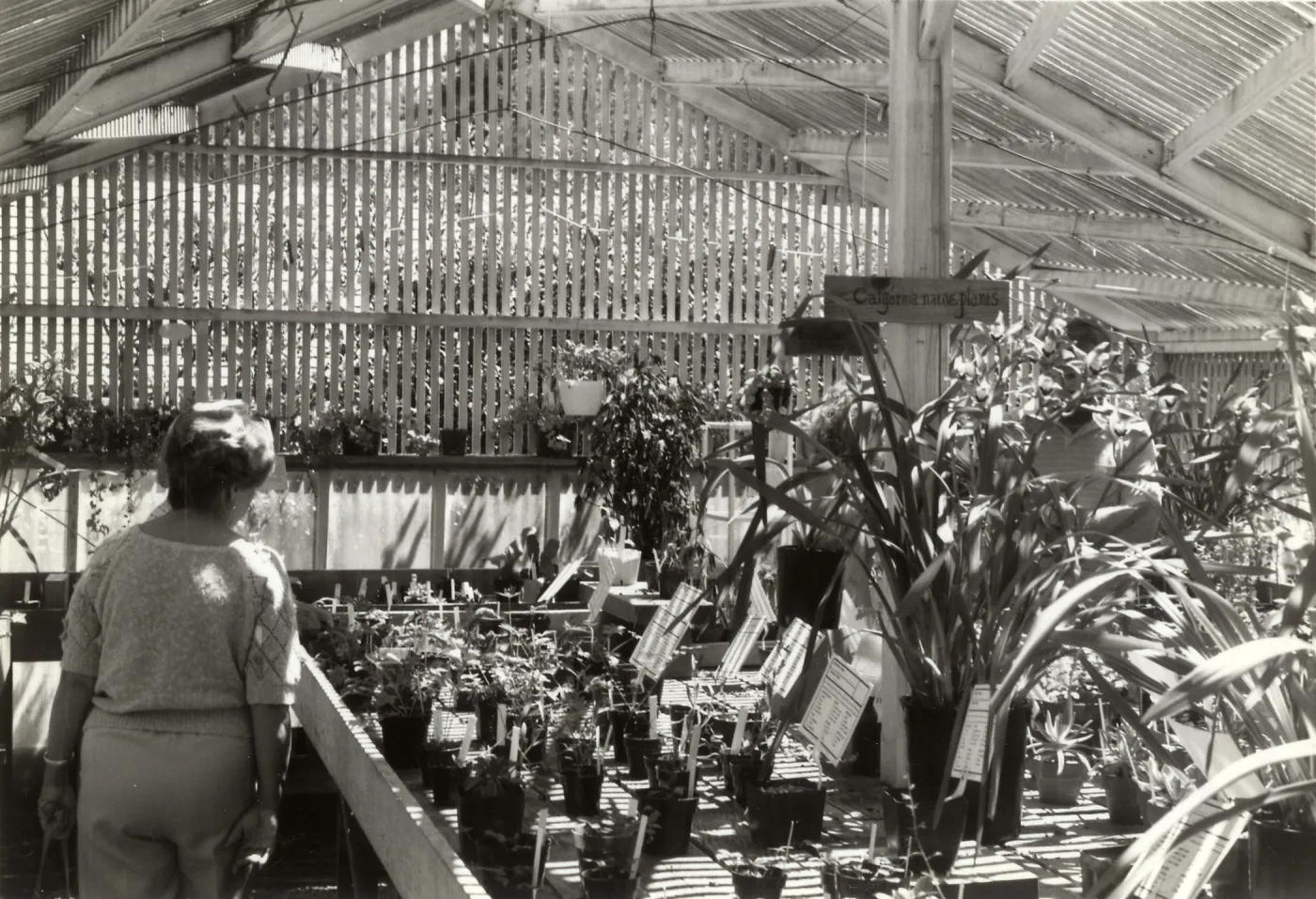 Volunteers - Garden Growers, Spring Plant Sale, 1986