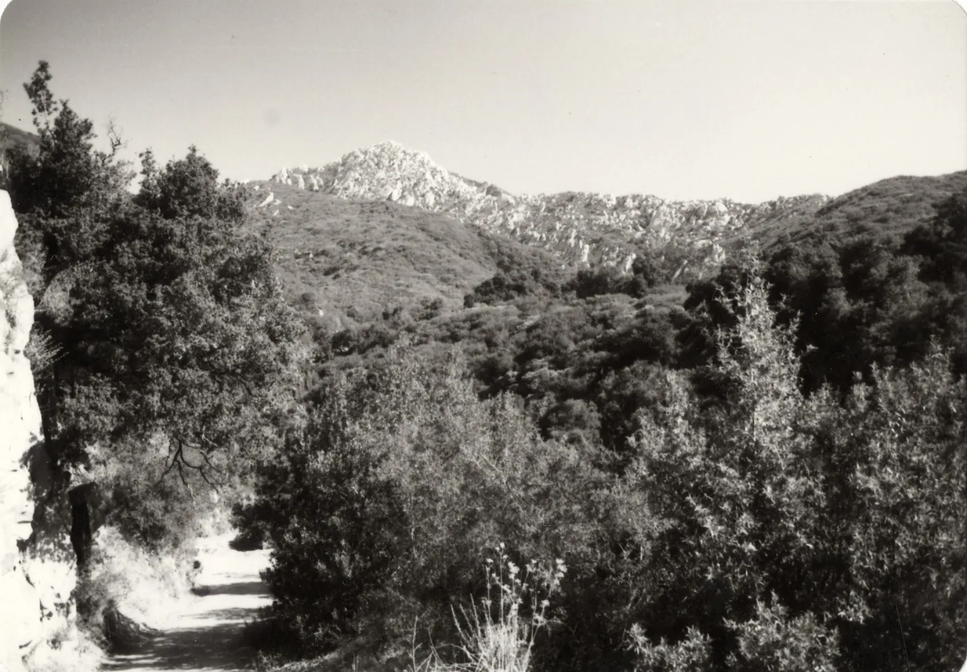 Mission Canyon: Tunnel Trail, spine up to Arlington Peak, Mission Canyon above SBBG