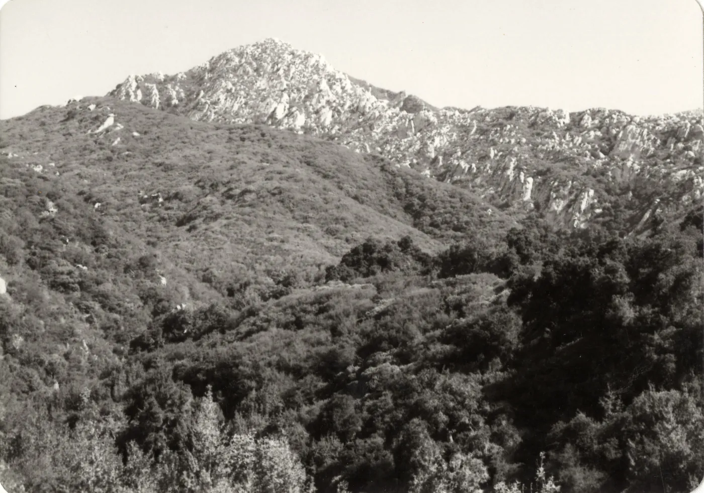 Mission Canyon: Tunnel Trail, spine up to Arlington Peak