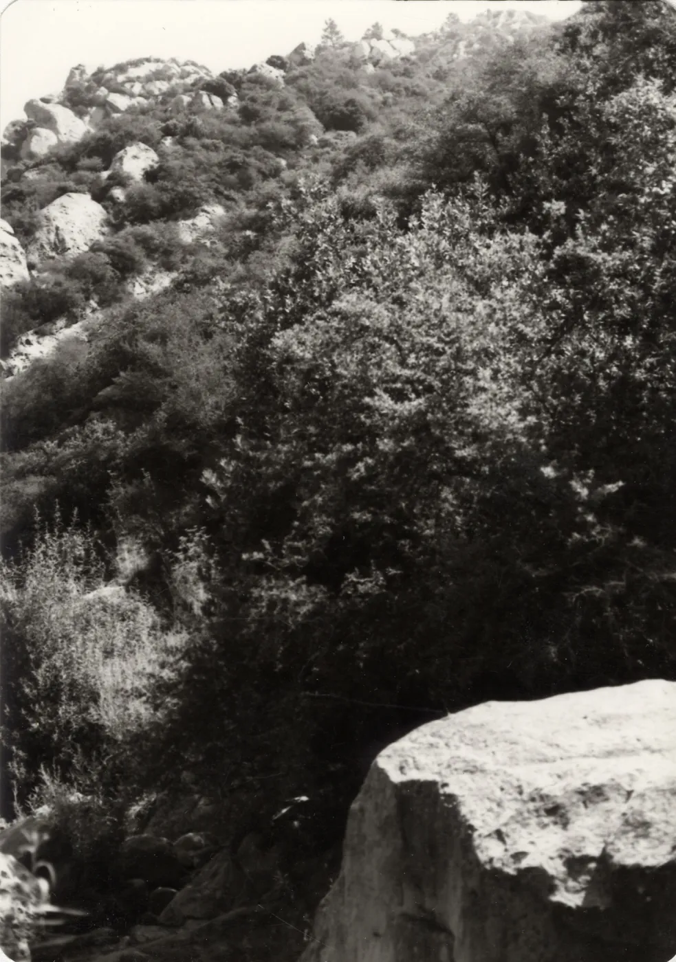 Mission Canyon