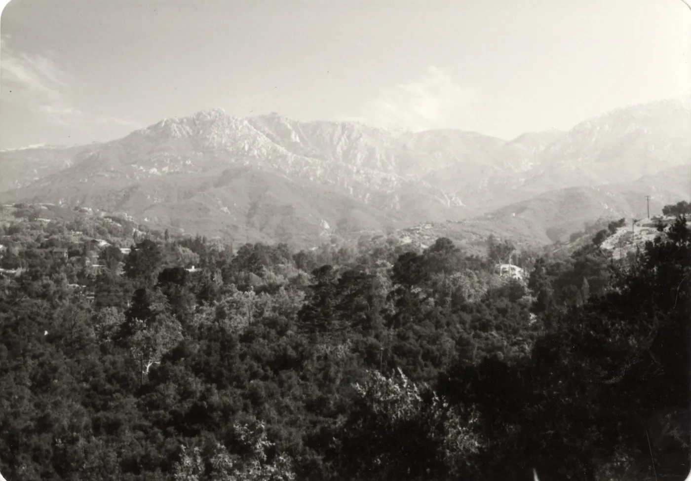 Black and white aeriel photograph of forest with buildings and mountain line in the distance.