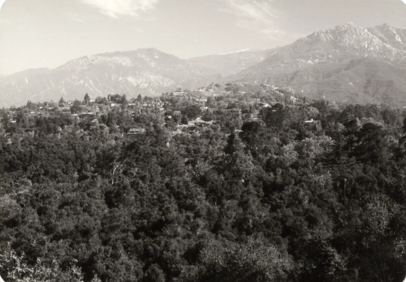 Black and white aeriel photograph of forest with buildings and mountain line in the distance.
