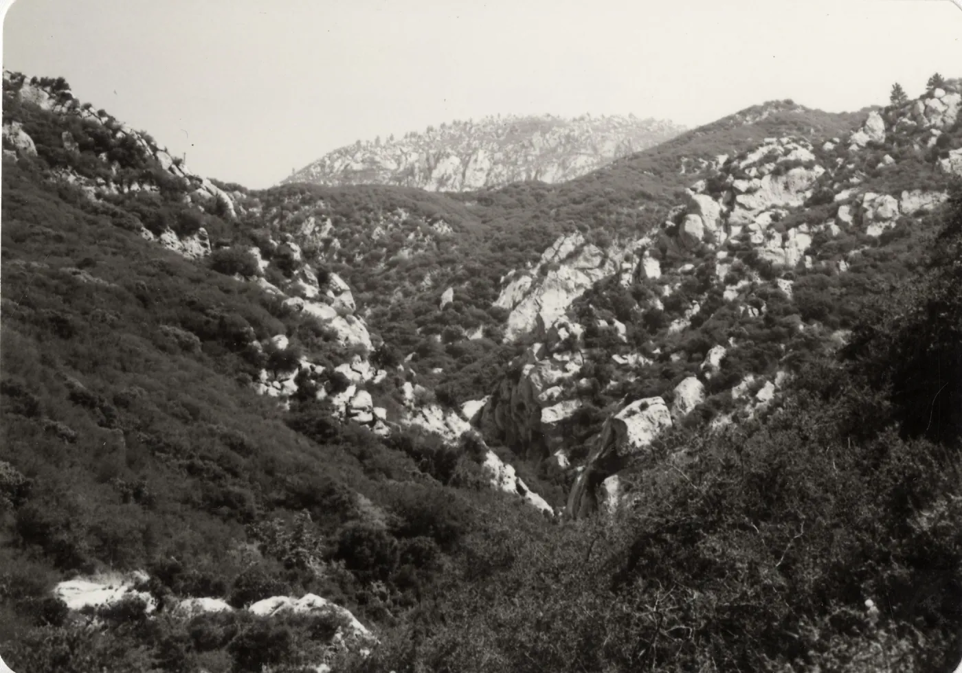Black and white photograph with grass and bush covered hill side.