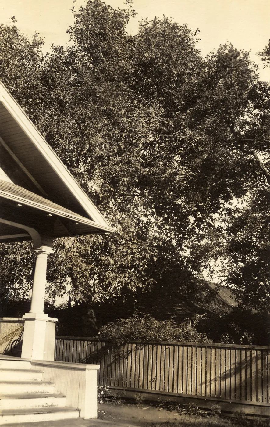 Black and white photograph of tree behind porch and fence.