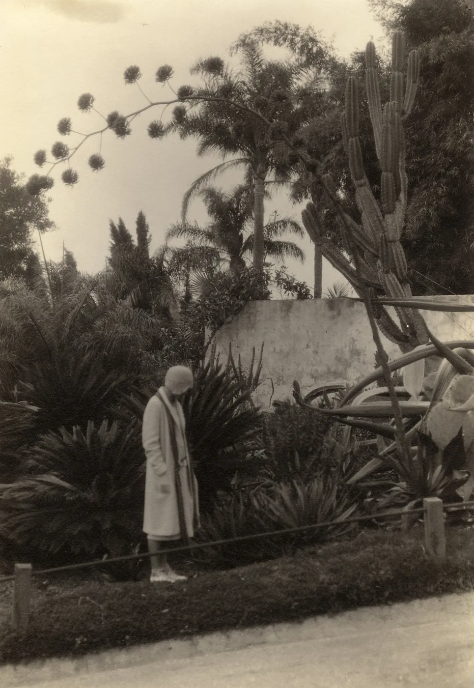 Black and white photograph of woman standing in garden bed looking down at plants.