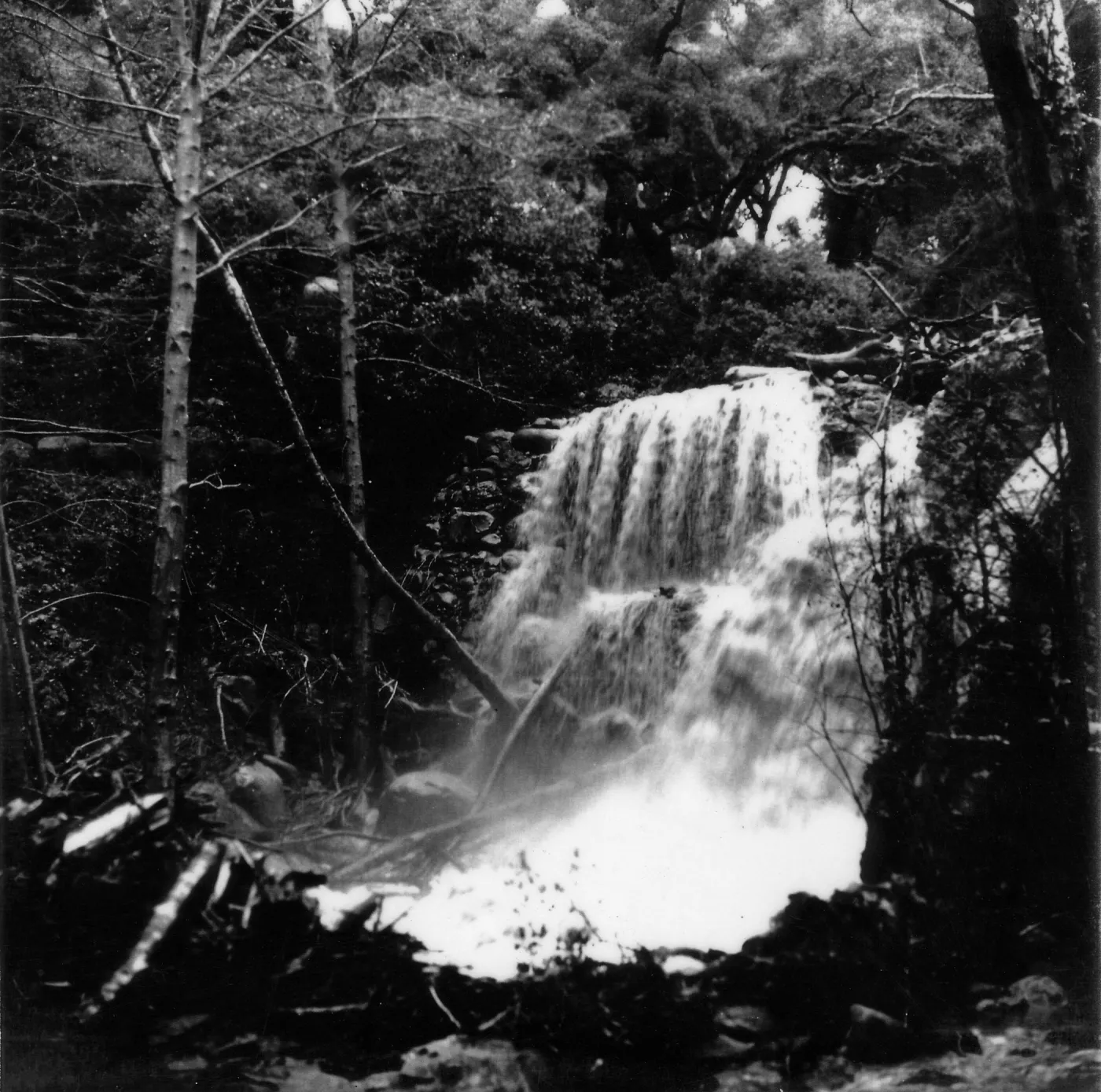 Black and white photograph of a waterfall in and wooded landscape.