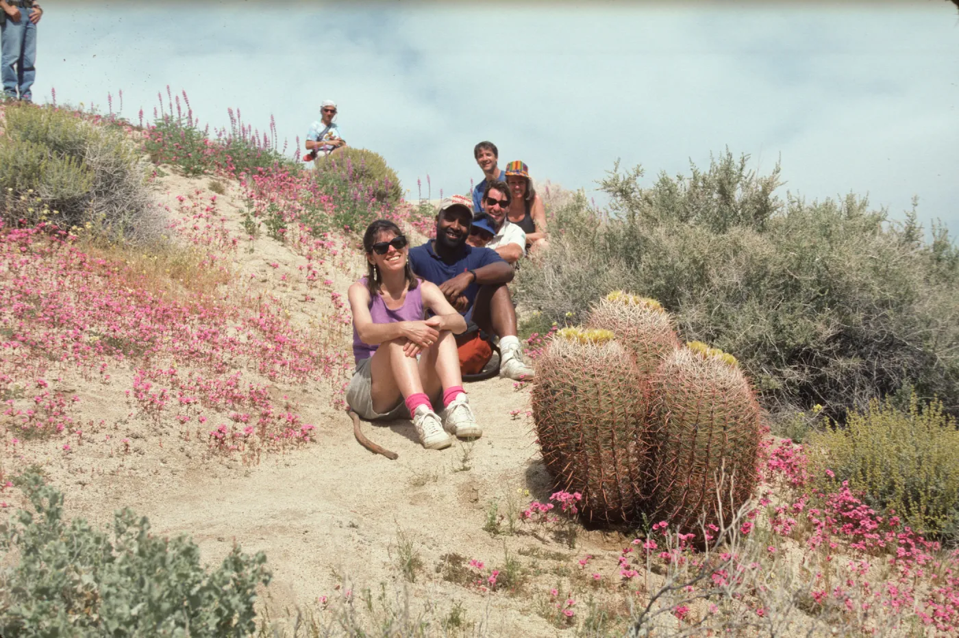 Anza-Borrego