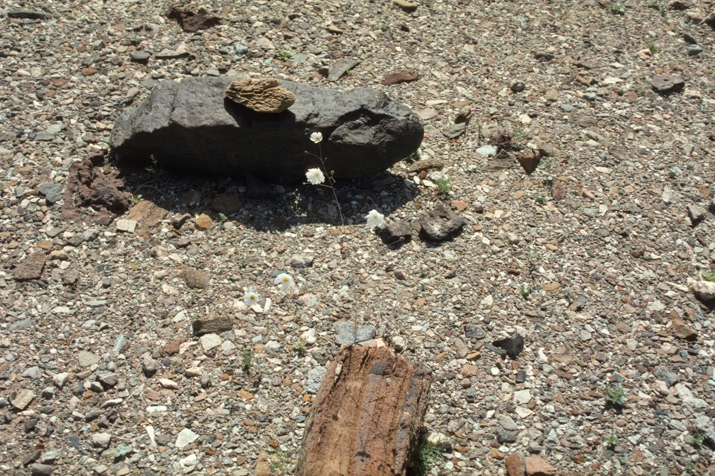 Death Valley National Park