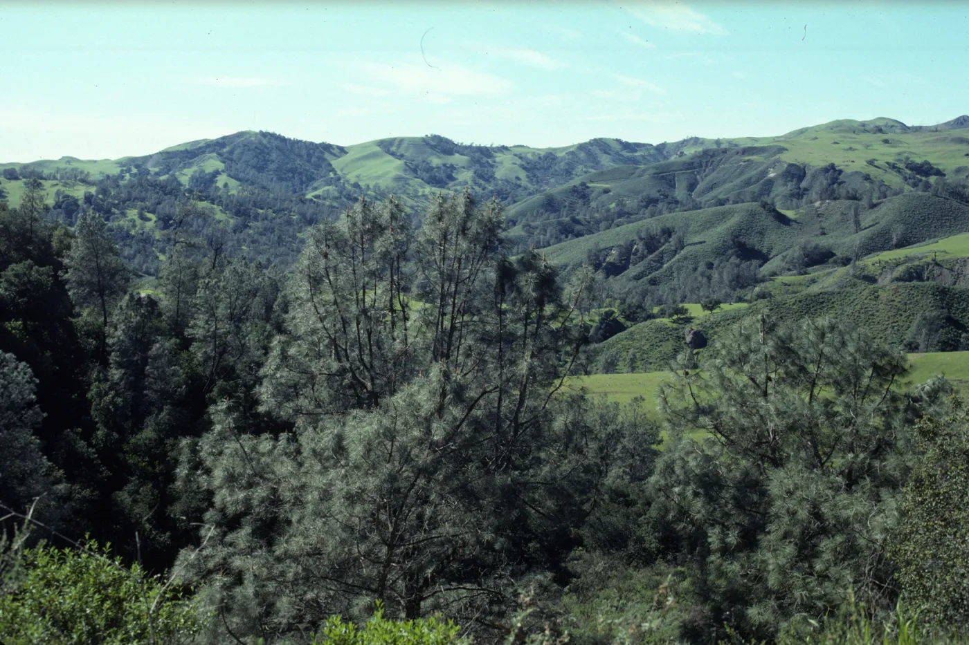 Foothill Woodland, Happy Canyon Road