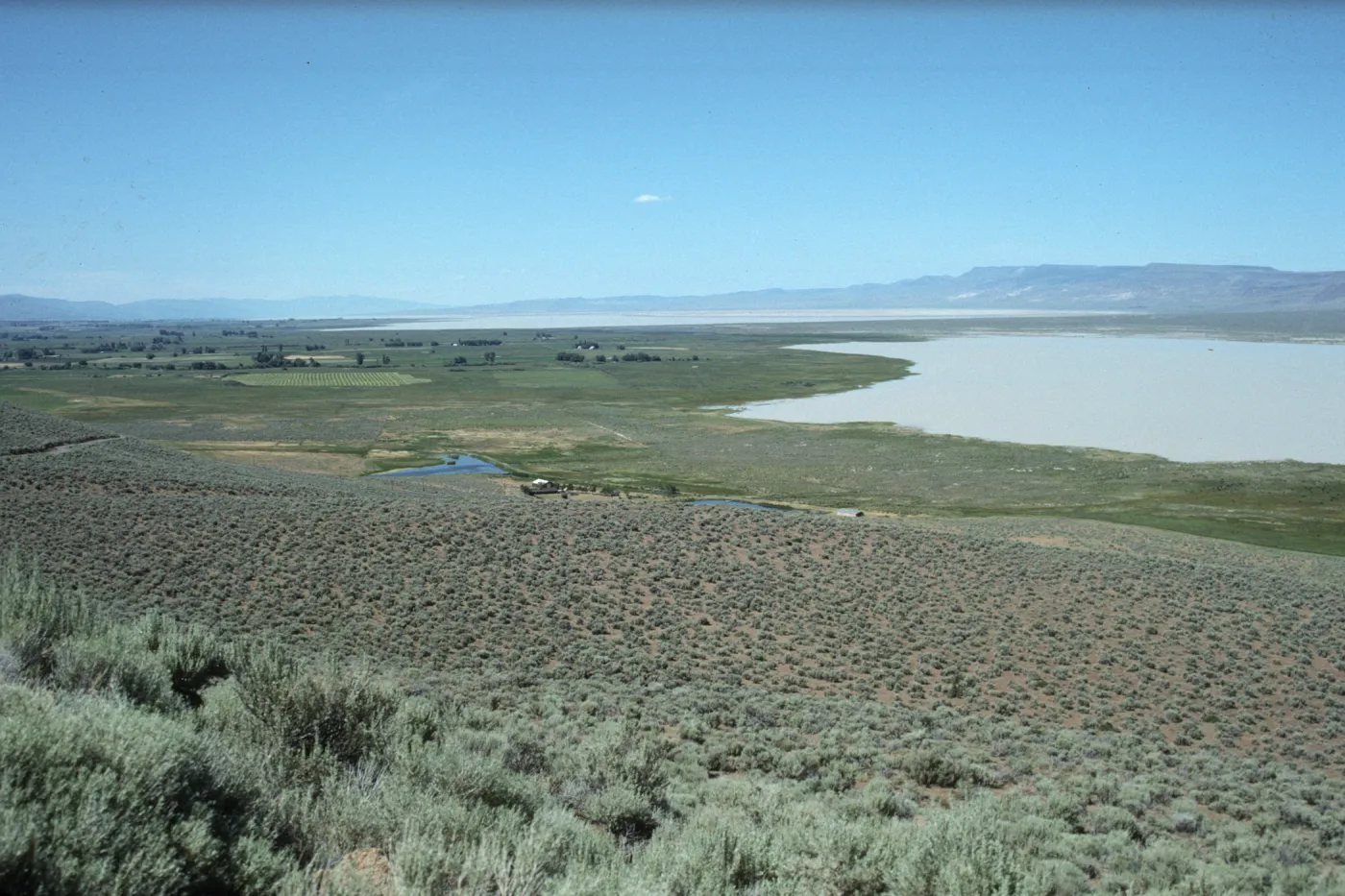 Surprise Valley