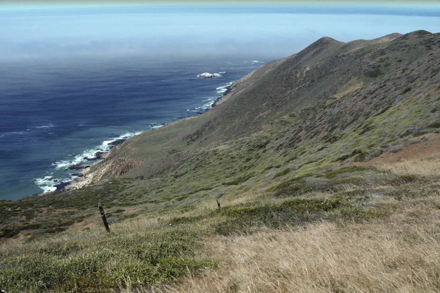 Point Sal