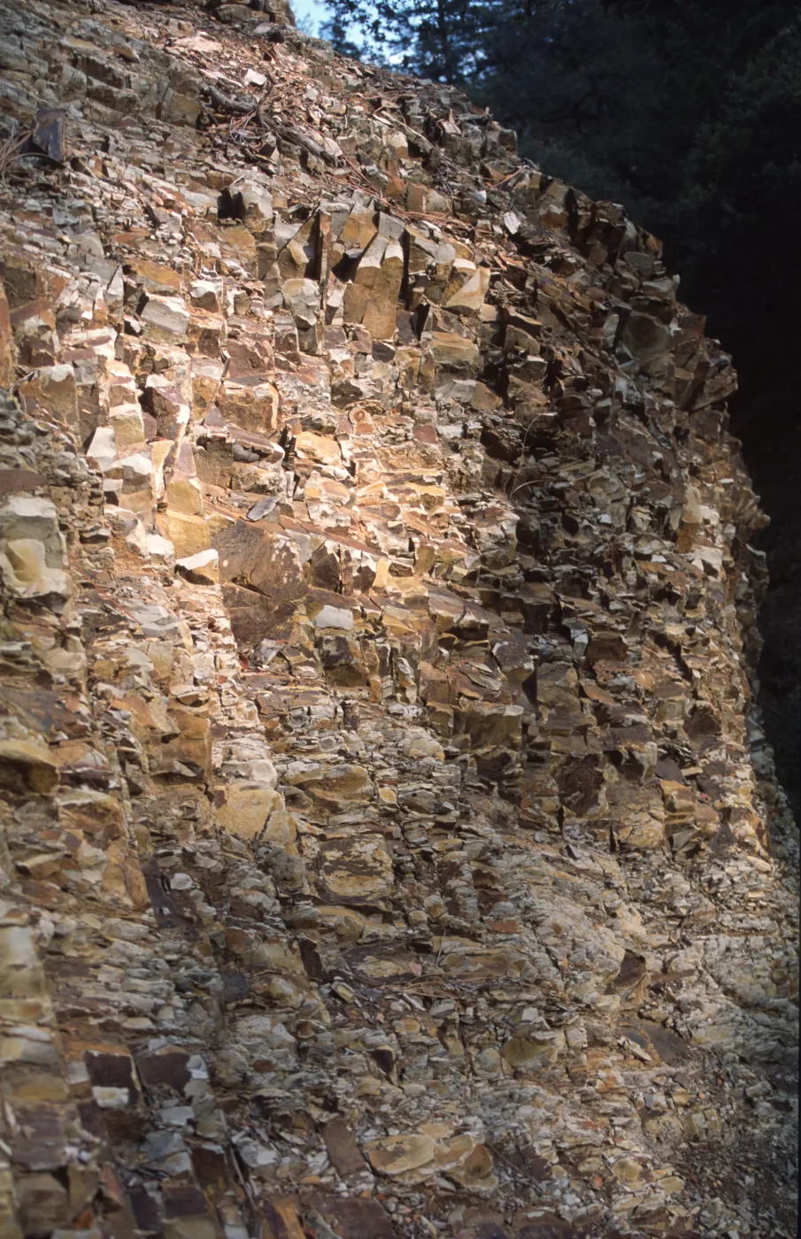 Wall of shale