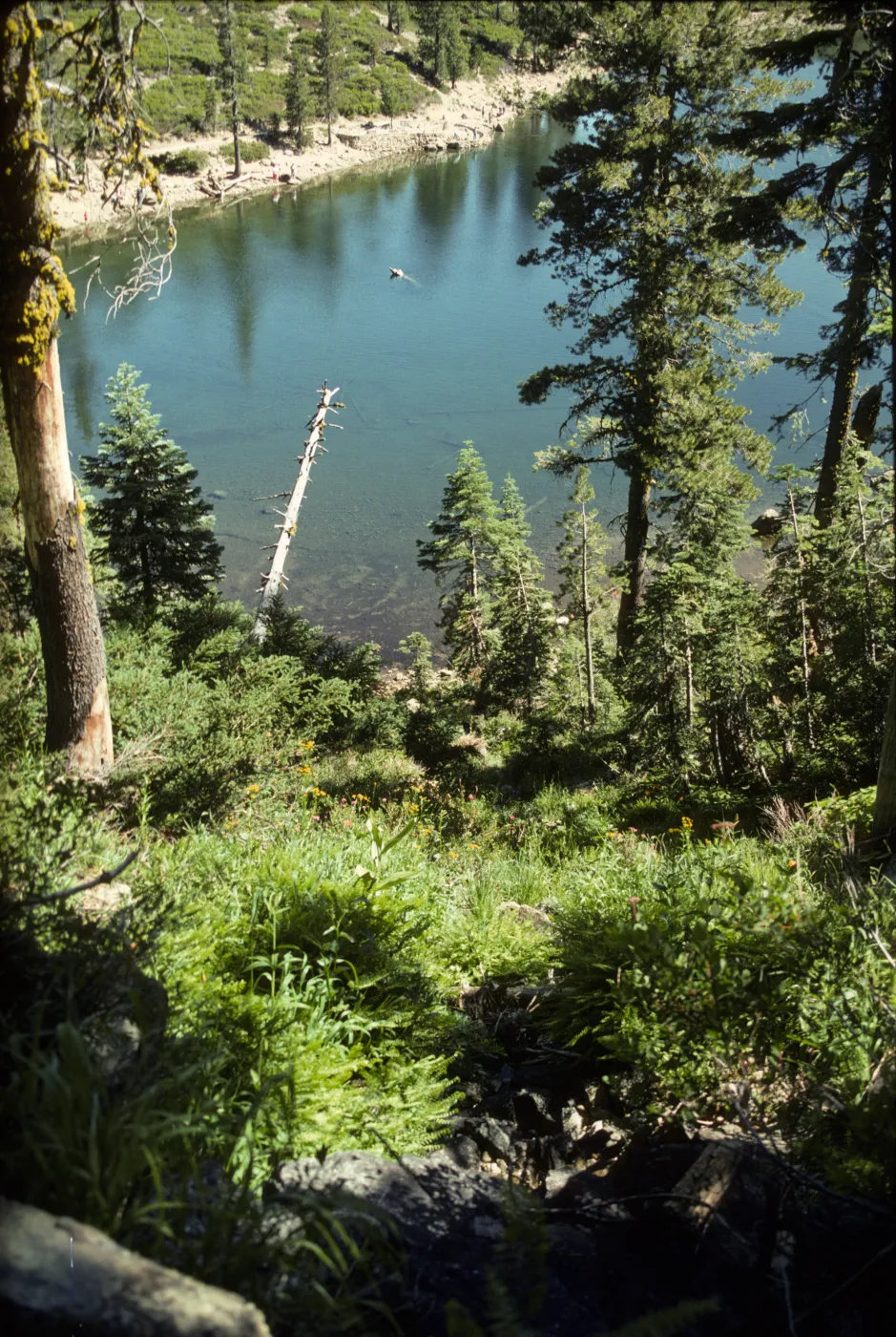 Kangaroo Lake from top of stream
