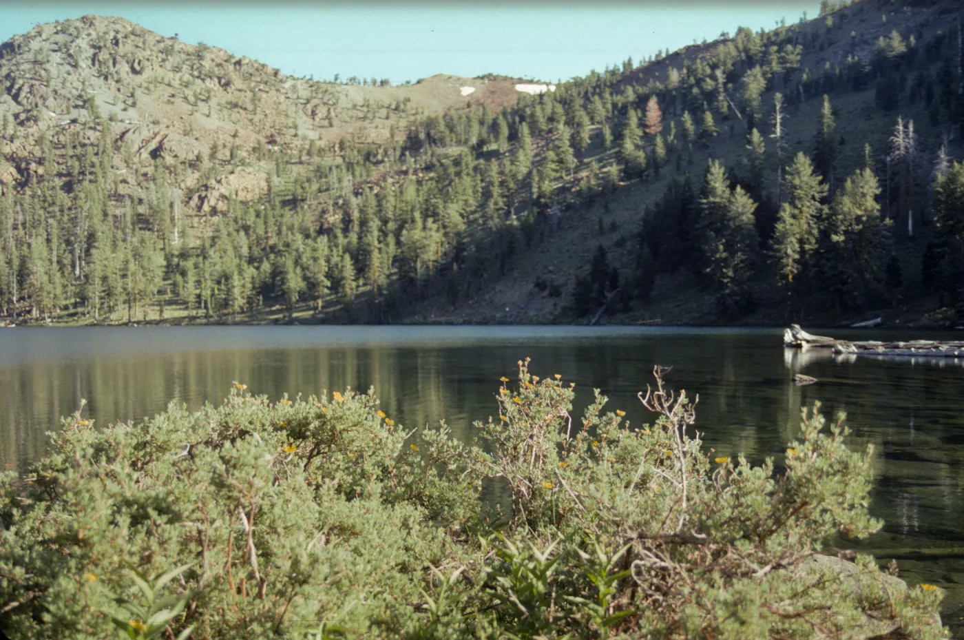 Kangaroo Lake
