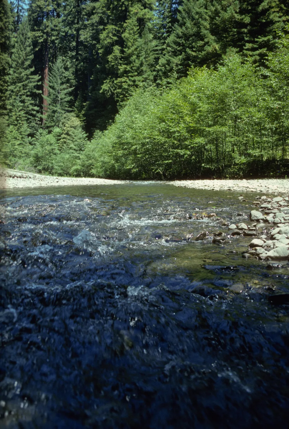 Eel River