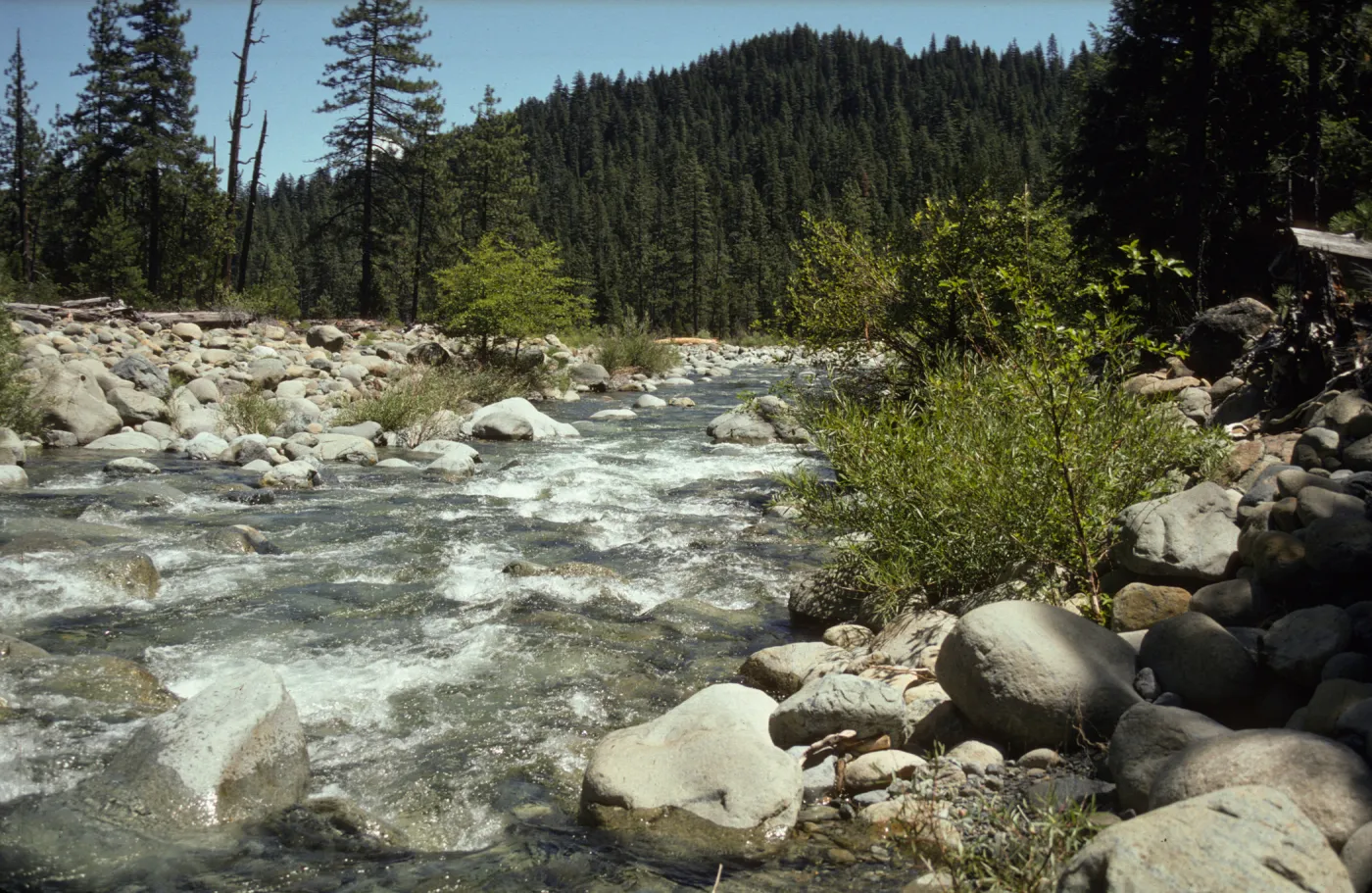 Trinity River