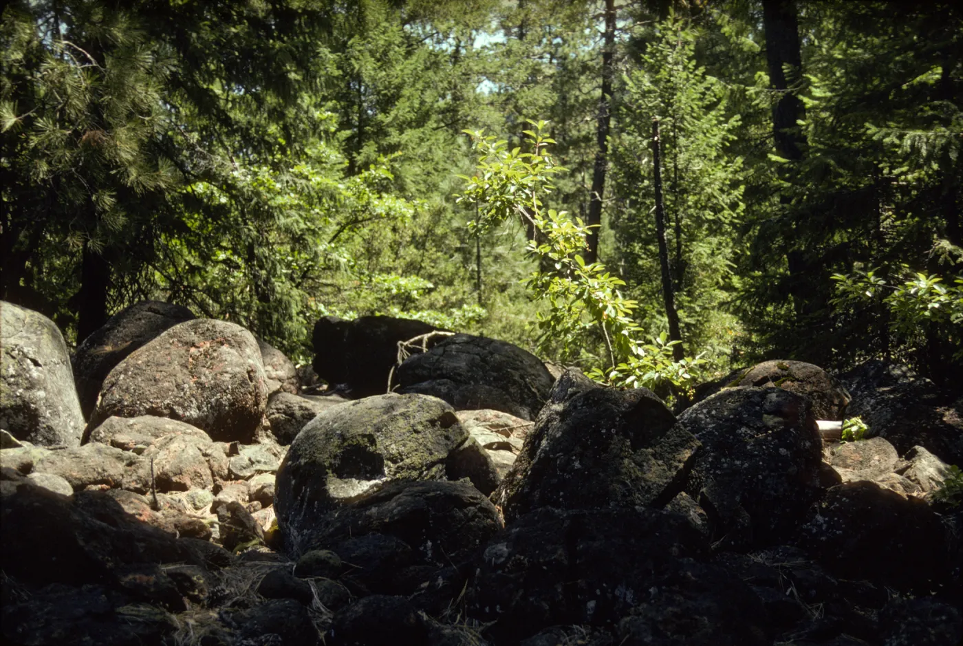 Preacher Meadow